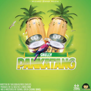 Read more about the article Shelly – Pankatang